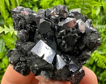 Aesthetic Shiny Galena,Sphalerite covered whit Chlorite natural mineral souvenir crystal gift mineral collection Borieva Bulgaria