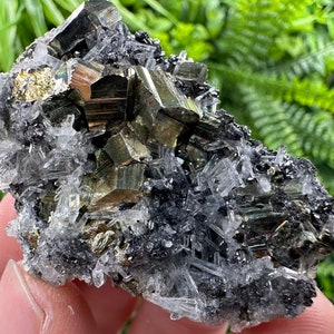 Wonderful Golden Pyrite on Sphalerite and Quartz natural minerals souvenir crystal gift collection minerals, rare Pyrite Borieva Bulgaria