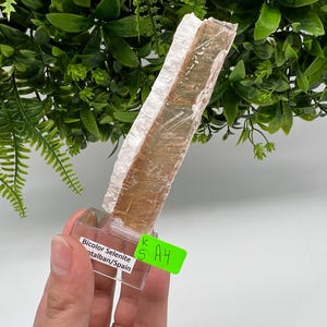 TOP QUALITY! Golden Phantom Selenite Slabs. Fishtail Selenite. Utah Raw Golden Selenite Slab / Wands. Utah Selenite. Sheet Selenite. Gift