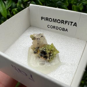 Pyromorphite Stone / Pyromorphite on Matrix / Pyromorphite Crystal / Raw Crystal / Pyromorphite Cluster / Rough Pyromorphite / Pyromorphite