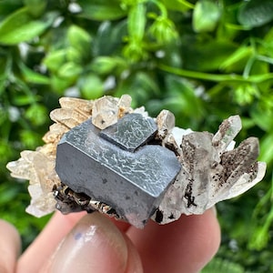 May include: A dark gray mineral specimen with a metallic luster, featuring a cluster of clear quartz crystals and a backdrop of green foliage. The mineral has a geometric shape and is surrounded by smaller, lighter-colored crystals.