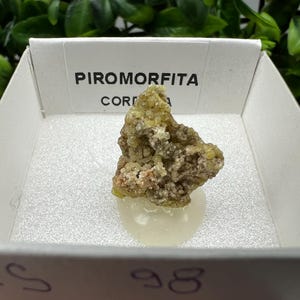 Pyromorphite Stone / Pyromorphite on Matrix / Pyromorphite Crystal / Raw Crystal / Pyromorphite Cluster / Rough Pyromorphite / Pyromorphite