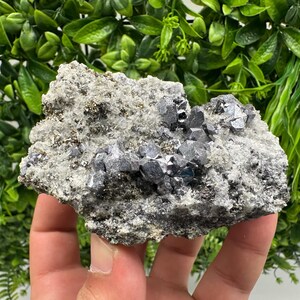 Galena Sphalerite Pyrite on Quartz: Borieva Mine Mineral Cluster