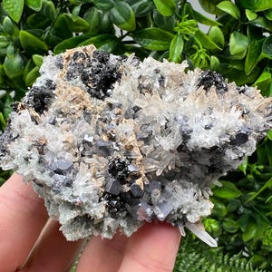 Aesthetic Natural shiny Galena whit Siderite and Quartz from 9 th September mine,Bulgaria,collection specimen,rare galena,Galena cluster