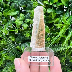 TOP QUALITY! Golden Phantom Selenite Slabs. Fishtail Selenite. Utah Raw Golden Selenite Slab / Wands. Utah Selenite. Sheet Selenite. Gift