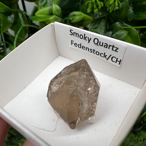 Raro quarzo fumé di Fedenstock (montagna) Svizzera, Minerale, Esemplare, Collezione, Quarzo nero, Minerale, Casa, Quarzo fumé, Punta di quarzo