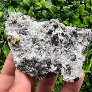 Wonderful Rainbow Pyrite on Quartz whit Oxide,natural minerals souvenir crystal,home decor,collection stone,rare minerals,Borieva Bulgaria