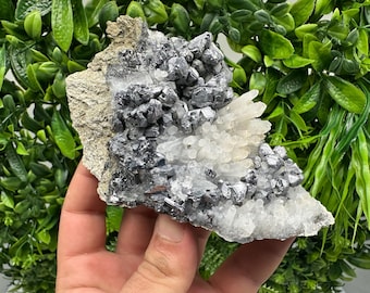 May include: A natural mineral specimen featuring a cluster of metallic gray galena crystals and clear quartz crystals. The crystals are set on a matrix of beige rock, showcasing the contrast of textures and colors.