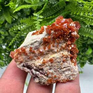 Red Vanadinite on Barite from Marocco,crystal minerals Speciment cluster Vanadinite crystal Vanadinite Geology Vanadinite cluster minerals