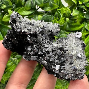 素晴らしい方鉛鉱、石英、緑泥石上の方解石、ブルガリア、ボリエヴァ鉱山産、天然コレクション鉱物標本、室内装飾石、水晶、地質学