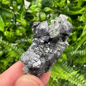 Wonderful shiny Galena on Pyrite natural minerals souvenir crystal gift collection home decor stone Borieva mine Madan Bulgaria natural ston