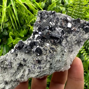 Stunning skeletal Galena on Quartz whit Pyrite natural minerals souvenir crystal gift home decor stone collection crystal Borieva Bulgaria