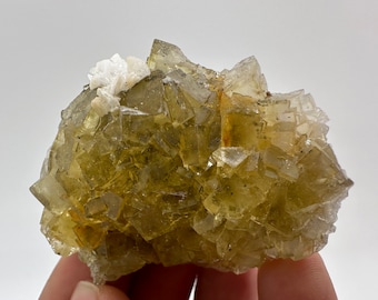 Spanish Yellow Fluorite Specimen, Crystal Collection (5.5/3.5/5.5cm)