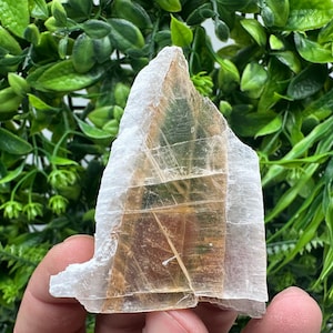 TOP QUALITY! Golden Phantom Selenite Slabs. Fishtail Selenite. Utah Raw Golden Selenite Slab / Wands. Utah Selenite. Sheet Selenite. Gift