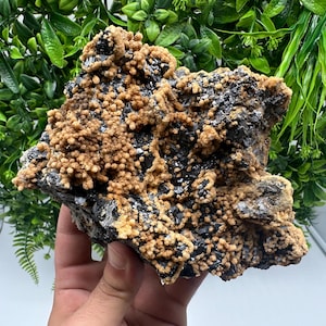 Wonderful Skeletal Galena whit dolomite,natural minerals souvenir crystal collection stone,rare minerals gift Krushev dol mine Bulgaria