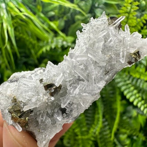 Stunning golden Chalcopyrite on Transparent Quartz natural minerals souvenir crystal gift home decor stone Borieva mine Madan Bulgaria