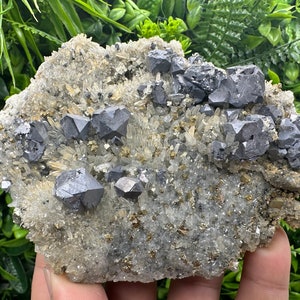 Wonderful Galena,Pyrite on Quartz from Borieva mine,Bulgaria,natural minerals souvenir crystal,collection specimen,gift,home decor stone,cls
