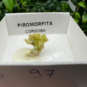 Pyromorphite Stone / Pyromorphite on Matrix / Pyromorphite Crystal / Raw Crystal / Pyromorphite Cluster / Rough Pyromorphite / Pyromorphite