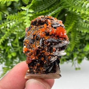 Red Vanadinite on Barite from Marocco,crystal minerals Speciment cluster Vanadinite crystal Vanadinite Geology Vanadinite cluster minerals