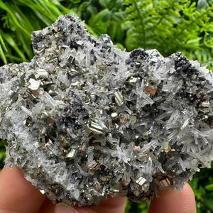 Lovely pyrite on Quartz natural minerals souvenir crystal gift home decor stone collection minerals natural crystal Borieva mine Bulgaria