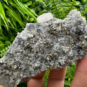 Lovely pyrite on Quartz natural minerals souvenir crystal gift home decor stone collection minerals natural crystal Borieva mine Bulgaria