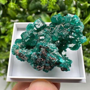 Stunning Green Dioptase from Sanda Hills,Mindouli,Pool Department,Mindouli District,Congo,green Dioptase,Dioptas Crystal,Dioptase collecting