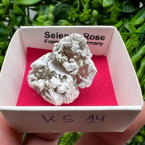 Peut inclure: Un spécimen de cristal de rose de sélénite blanc et gris dans une petite boîte blanche avec un intérieur rouge. La boîte porte le texte "Selenite Rose" et "KS 14".