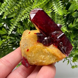 Può includere: Una vibrante formazione di cristalli rosso intenso su una roccia color beige. Il cristallo ha una struttura affilata e angolare, con molteplici sfaccettature che catturano la luce. La roccia ha una superficie ruvida e strutturata. Lo sfondo è un mix di fogliame verde.