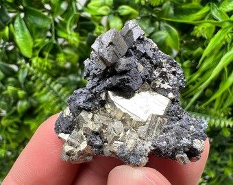 Golden Pyrite,Sphalerite from 9th September mine,Madan,Bulgaria,natural,collectible mineral specimen,home decor crystal,Pyrite cluster,