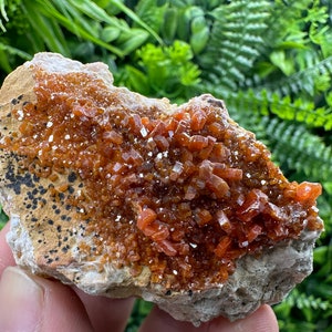 Red Vanadinite on Matrix from Marocco,crystal minerals Speciment cluster Vanadinite crystal Vanadinite Geology Vanadinite cluster minerals