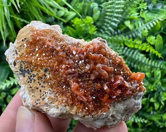 Red Vanadinite on Matrix from Marocco,crystal minerals Speciment cluster Vanadinite crystal Vanadinite Geology Vanadinite cluster minerals
