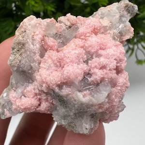 Beautiful Rhodochrosite on Quartz,pink minerals,Starnica Mine,Davidcovo,Bulgaria natural minerals,collection crystal,gift home decor,collec