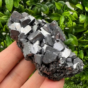 Wonderful Galena whit Sphalerite feom Borieva mine,Bulgaria,natural,collection mineral specimen,home decor,gift crystal,souvenir,galena