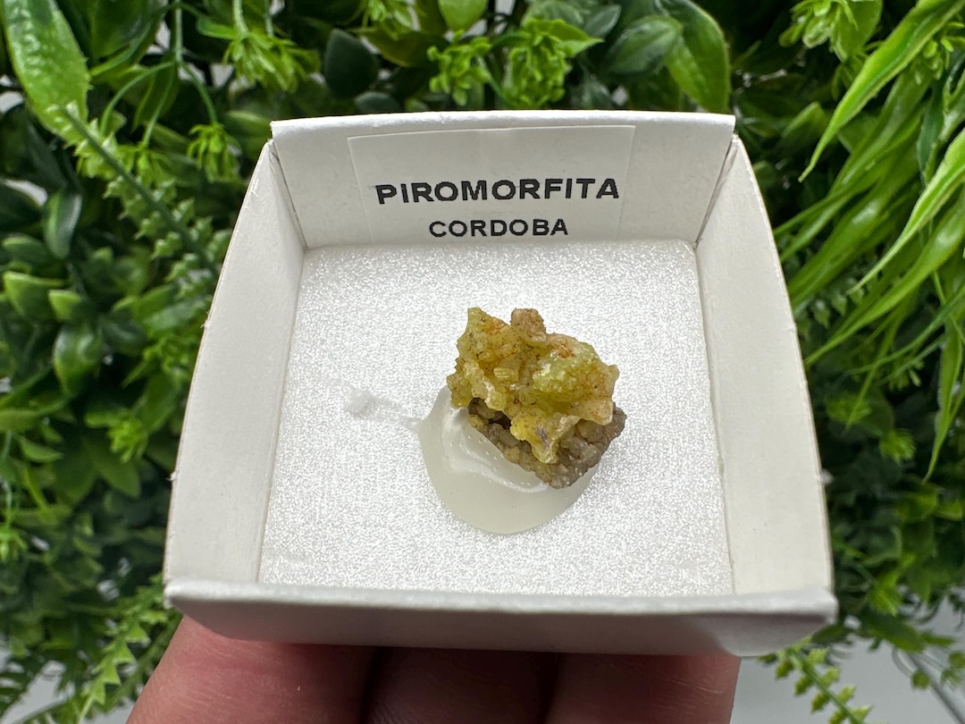 Raw Pyromorphite Crystal Cluster on Matrix, Mini Specimen - Etsy