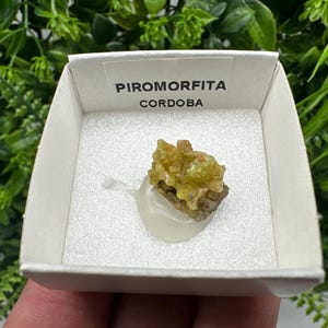 Pyromorphite Stone / Pyromorphite on Matrix / Pyromorphite Crystal / Raw Crystal / Pyromorphite Cluster / Rough Pyromorphite / Pyromorphite