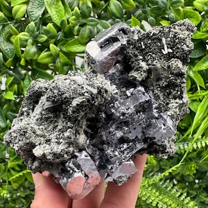 Stunning,Collection Galena,Calcite on Chlorite Matrix,From Borieva mine,Madan,Bulgaria,collected mineral specimen,home decor crystal,galena