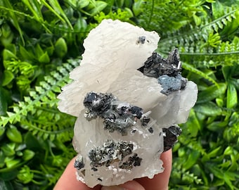 May include: A cluster of white, translucent crystals with black and silver metallic mineral inclusions. The crystals are arranged in a layered formation, creating a visually interesting and unique specimen.