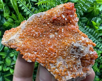 Red Vanadinite on Matrix from Marocco,crystal minerals Speciment cluster Vanadinite crystal Vanadinite Geology Vanadinite cluster minerals