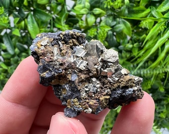 Golden Pyrite Cluster: Sphalerite Mineral Specimen, Bulgaria