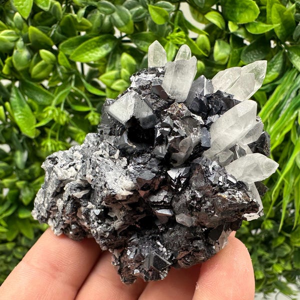 Wonderful Sphalerite Chalcopyrite on  Quartz whit Galena feom 9 th September mine,Bulgaria,natural,collection mineral specimen,gift