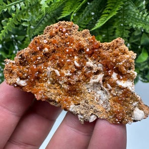 Red Vanadinite on Barite from Marocco,crystal minerals Speciment cluster Vanadinite crystal Vanadinite Geology Vanadinite cluster minerals