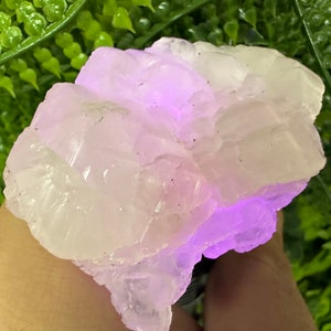 Ein erstaunliches Exemplar von Mangano Calcit Fluoreszierend aus den Tiefen der Rhodopes,Bulgarien/Borieva Mine/Madan/Smolyan Region/Natürliches Mineral