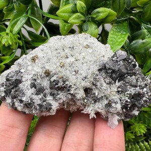 Wonderful melted Galena,Sphalerite calcite Pyrite on Quartz from Borieva mine Madan Bulgaria natural minerals souvenir crystal home decor cr