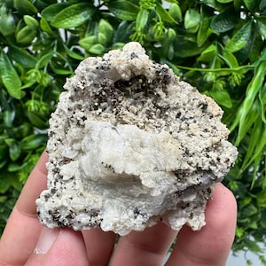 Wonderful Colour Pyrite on Green Quartz natural minerals souvenir crystal home decor stone,collection gift minerals,Borieva mine Bulgaria
