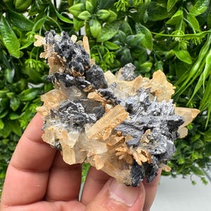 Galena Cluster with Siderite and Quartz: 9th September Mine, Bulgaria