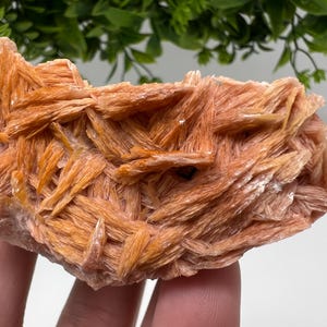 Wunderbarer Baryt mit Cerussit auf Galena aus Marokko, Bleikristall, Bleikristall,Cerussit Kristall,Kristalle, Bleikristall,