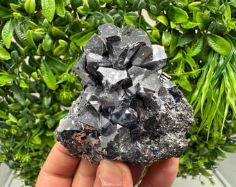 May include: A cluster of lustrous, dark gray crystals, possibly a mineral specimen, with a complex, geometric structure. The crystals are set against a backdrop of green foliage, creating a contrast of textures and colors. The specimen is held in a hand.