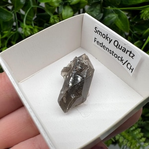 Raro quarzo fumé di Fedenstock (montagna) Svizzera, Minerale, Esemplare, Collezione, Quarzo nero, Minerale, Casa, Quarzo fumé, Punta di quarzo