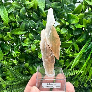 TOP QUALITY! Golden Phantom Selenite Slabs. Fishtail Selenite. Utah Raw Golden Selenite Slab / Wands. Utah Selenite. Sheet Selenite. Gift