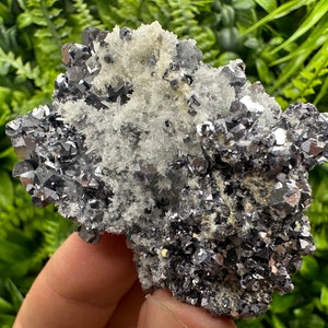 Wonderful Shiny Galena on needle Quartz natural minerals souvenir crystal gift home decor stone Borieva mine Madan Bulgaria galena crystal